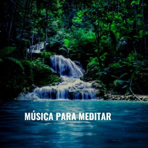 Download track Relajar La Mente Dj Meditacion