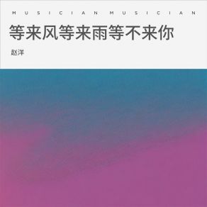 Download track 等来风等来雨等不来你 (伴奏) 赵洋