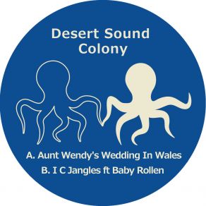 Download track Aunt Wendy's Wedding In Wales (Instrumental) Desert Sound Colony