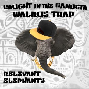 Download track Electro Jam The Relevant Elephants