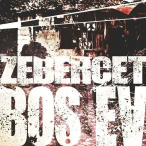 Download track İstediğin Adam Zebercet