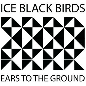 Download track Heavy Independent Blues Ice Black Birds