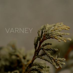 Download track 〇 Varney