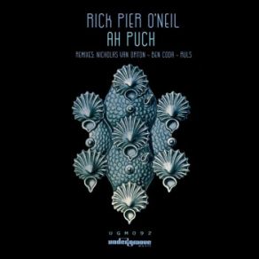 Download track Ah Puch (Nicholas Van Orton Remix) Rick Pier O'Neil