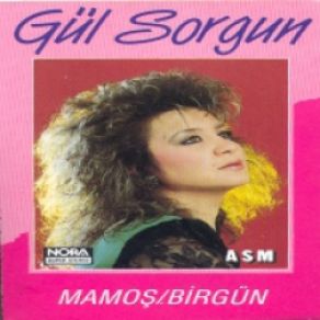 Download track Tozlu Yollar Gül Sorgun