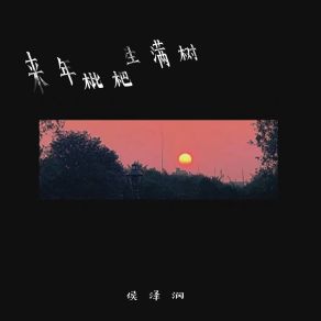 Download track 来年枇杷生满树 (加速版伴奏) 侯泽润陈林len