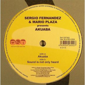 Download track Akuaba Mario Plaza, Sergio Fernandez