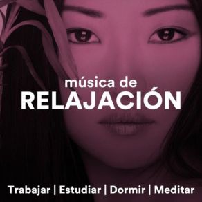 Download track Música De Flauta Relajación