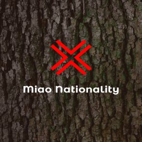 Download track Miao Nationality Skot