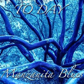 Download track Molotov Cocktail Manzanita Blues