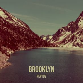 Download track Lockdown (Radio Edit) Peptus