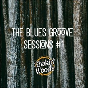 Download track The Place To Be Shakin' Woods