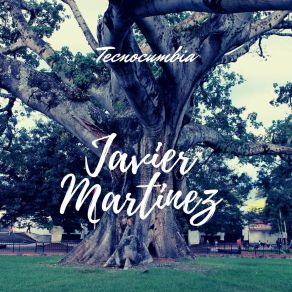 Download track Un Soldado En El Cielo Javier Martinez