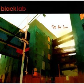 Download track Learn To Crawl Black Lab