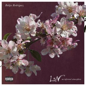 Download track Another Luv Song Bahja RodriquezZonnique