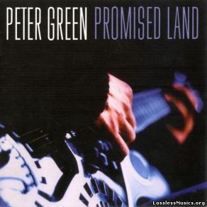 Download track In The Skies Peter Green