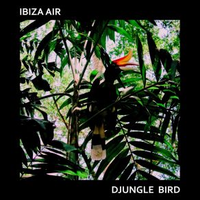 Download track Djungle Bird (Extended Mix) Ibiza AirDom Paradise