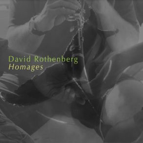 Download track Selje Heartbeat (For Iva Bittová) David Rothenberg