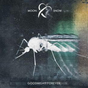 Download track Cherry Moon Moon And Snow