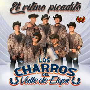 Download track El Amor De Mi Vida Los Charros Del Valle De Elqui