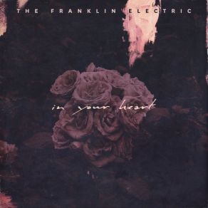 Download track Turned To Stone The Franklin Electric