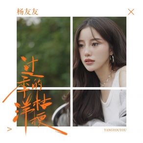 Download track 过季的洋桔梗 (伴奏) 杨友友