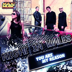 Download track You Are My Reason (Extended Version) Night In Wales