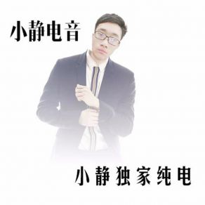 Download track 唯美旋律電音車載 小靜電音