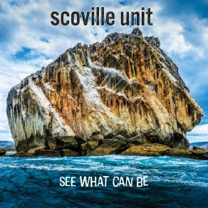 Download track Reasons Scoville Unit