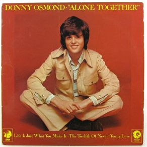 Download track Life Is Just What You Make It Donny Osmond