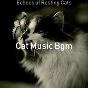 Download track Soulful Ambience For Cats Cat Music Bgm