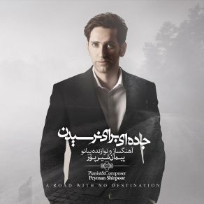 Download track The Last Moment Peyman Shirpoor