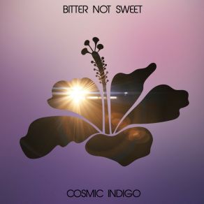 Download track Bitter Not Sweet Cosmic IndigoVladislav Dubrovin