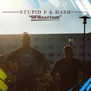 Download track Kuulen Ja Näen Stupid FHash