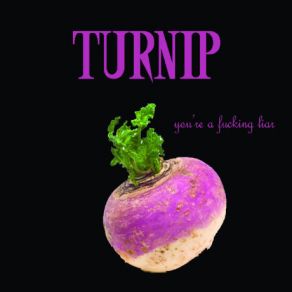 Download track Say You Won't Lie Turnip