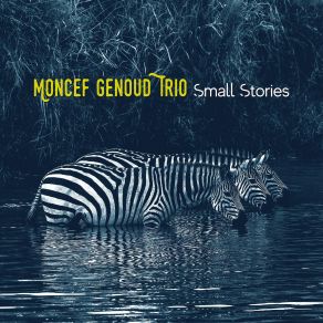 Download track Another Wednesday Moncef Genoud Trio