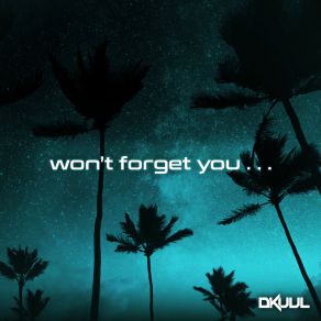 Download track Won't Forget You Dkuul