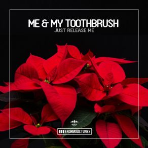 Download track Just Release Me Me My Toothbrush