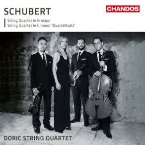 Download track String Quartet No. 15 In G Major, Op. 161, D. 887: IV. Allegro Assai Doric String Quartet