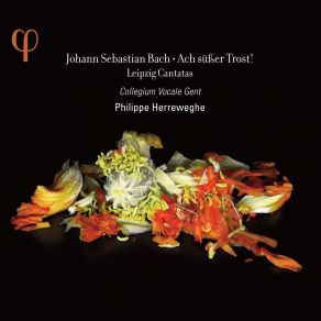 Download track (Aria: Bass): III. Ach, Wo Hol Ich Armer Rat? Collegium Vocale, Philippe Herreweghe