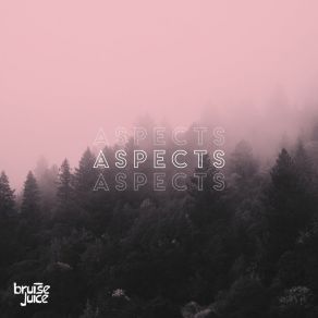 Download track Aspects Bruise Juice