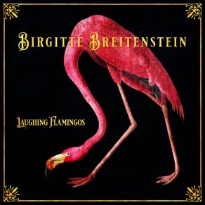 Download track Laughing Flamingos Birgitte Breitenstein