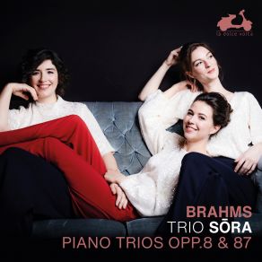 Download track Brahms Piano Trio No. 2 In C Major, Op. 87 II. Andante Con Moto Trio Sõra