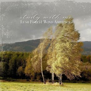 Download track Lush Forest Wind Ambience, Pt. 5 Sebastian Riegl