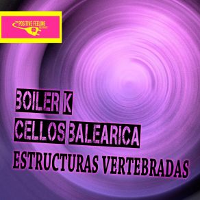 Download track Estructuras Vertebradas (Fx DJ Tool) Boiler K