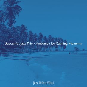 Download track Trio Jazz Soundtrack For Calming Moments Jazz Relax Vibes