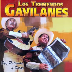 Download track Amor Confiado Los Tremendos Gavilanes