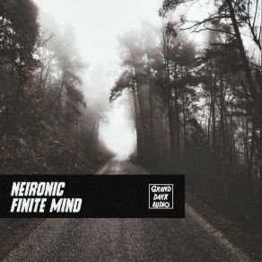 Download track Finite Mind Neironic