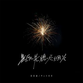 Download track 是你先熄灭烟火 (伴奏) MuS木杉