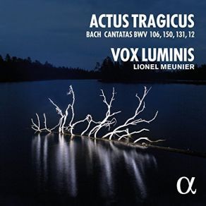 Download track Gottes Zeit Ist Die Allerbeste Zeit, BWV 106 - III. B. Arioso & Chorale 'Heute Wirst Du Mit Mir Im Paradies Sein' Vox Luminis, Lionel Meunier